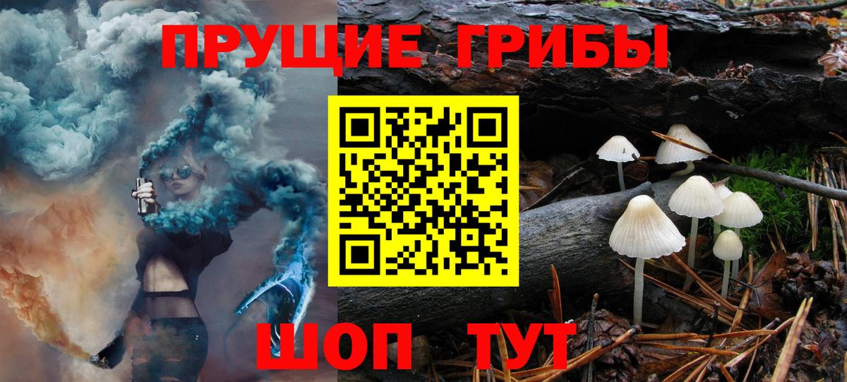 Галлюциногенные грибы GOLDEN TEACHER  Вход с VPN  где можно купить наркотик  Псилоцибиновые грибы ЛСД  Заволжье 